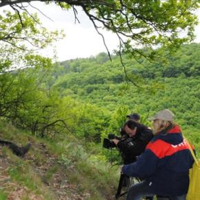 Das Filmteam beim Drehen der Wildkatzenforschung