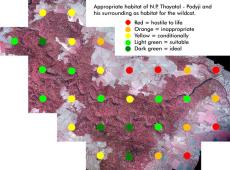 Map: Appropriate habitat of N.P. Thayatal - Podyji and his surrounding as habitat for the wildcat