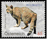 Wildcat Stamp