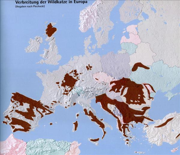 Distribution of wildcats in Austria (PIECHOCKI, 2001)
